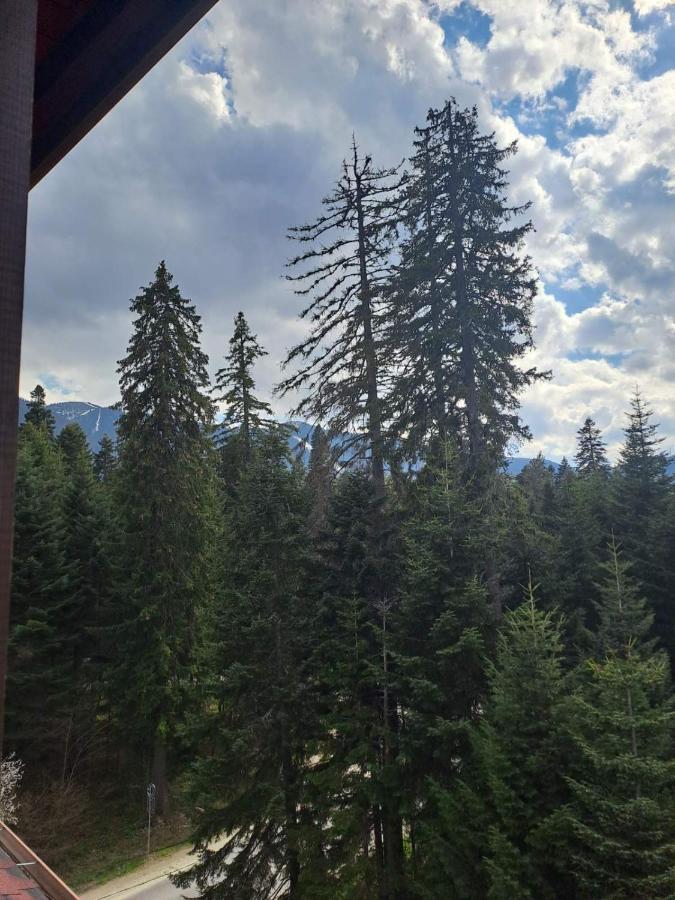 Premium Apartment In Borovets Gardens Complex Екстериор снимка